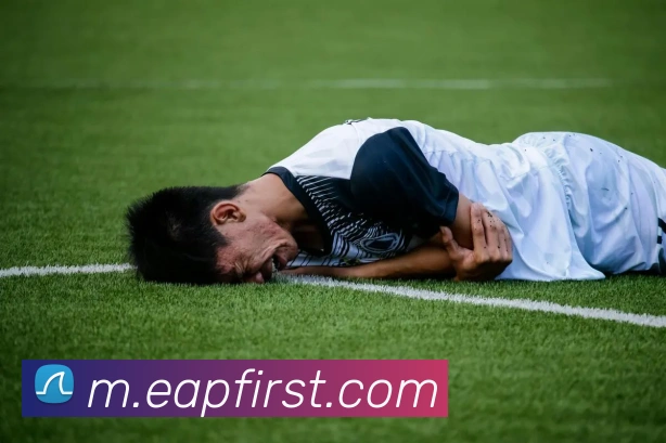 安博·体育（中国）官方网站，ANBO SPORTS服务体系